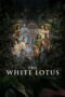 The White Lotus (2021) The White Lotus (2021)